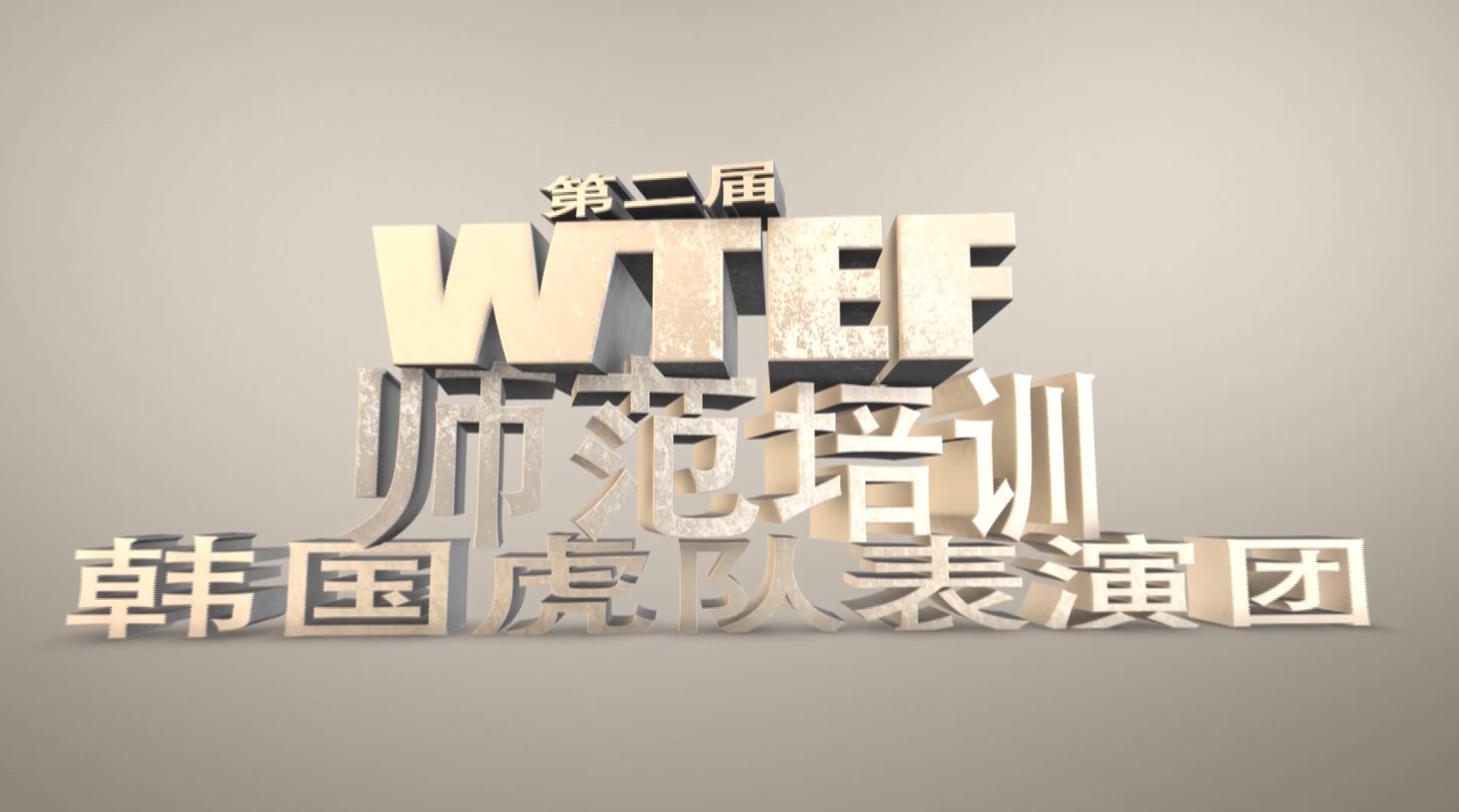 第二届WTEF师范培训暨韩国虎队表演团专场培训